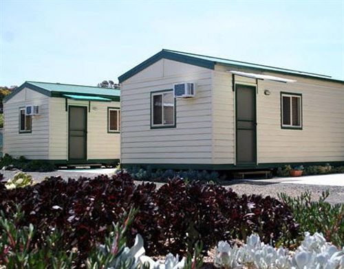 West City Motel Ardeer Dış mekan fotoğraf